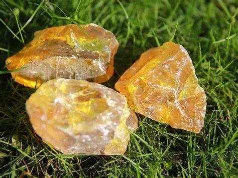 /uploads/ueditor/20241121