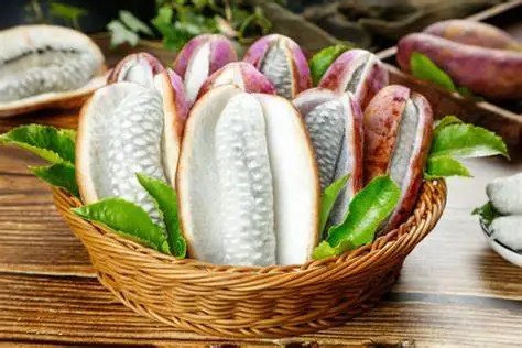 /uploads/ueditor/20241219