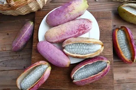 /uploads/ueditor/20241219